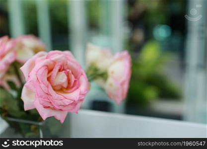 Natural pink roses flower in vase stands on table in a cafe for background.