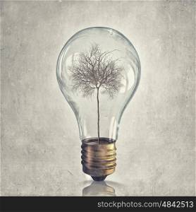 Natural resources exhaustion. Dry tree in glass light bulb as symbol of energy saving