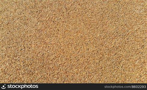 Natural sand background, close-up texture