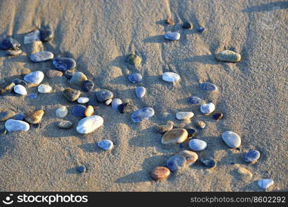 Natural sandy beach background with pebbles in the sunlight, close-up texture