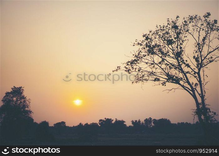 natural scene sunset with mountain and tree, tropical forest
