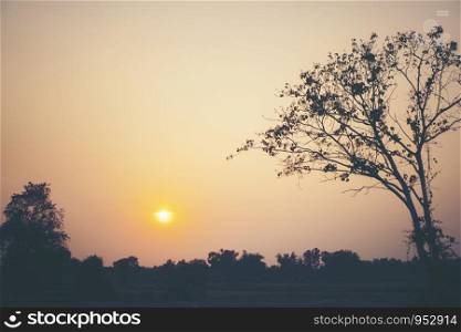 natural scene sunset with mountain and tree, tropical forest