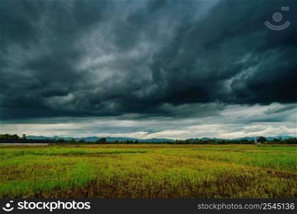 Natural scenic beautiful field and storm clouds and green field agricultural background