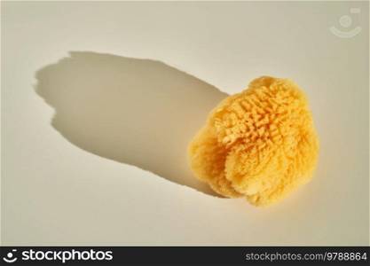Natural sea sponge for face and body in the sun. A wonderful illustration of a woman’s routine.. Natural sea sponge for face and body in the sun.