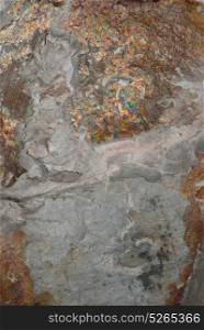 Natural shale rock texture background.
