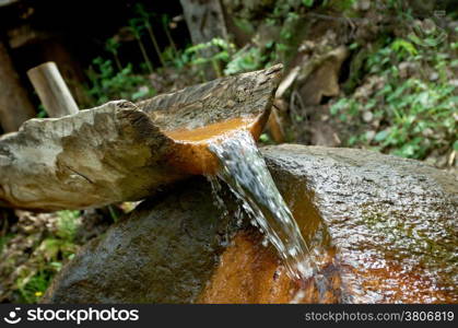 Natural source of mineral curative water.