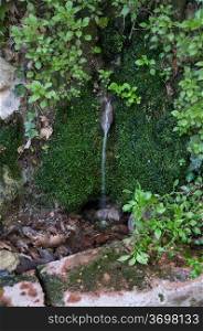 natural source of very fresh water out of the mountain