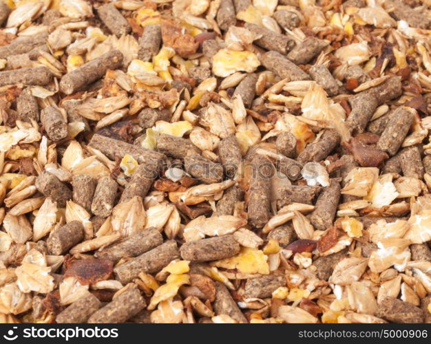 natural sportive muesli background. for horse.