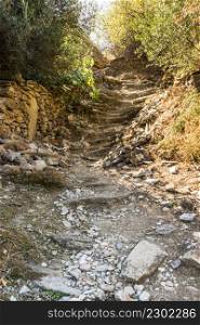 Natural stairs made of stone in a park or garden. Arrangement of nature. Natural stairs made of stone
