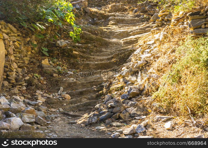 Natural stairs made of stone in a park or garden. Arrangement of nature. Natural stairs made of stone