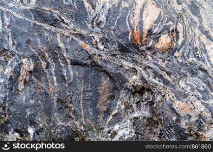 natural stone texture, the background of the sea stone. the background of the sea stone, natural stone texture