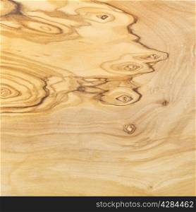 natural structure of olive tree wooden board