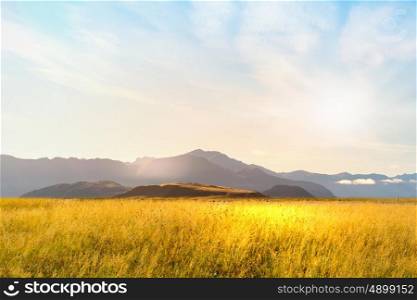 Natural summer landscape. Natural landscape of summer field and high mountain