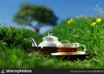 Natural tea in the pot