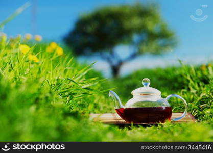 Natural tea on green grass