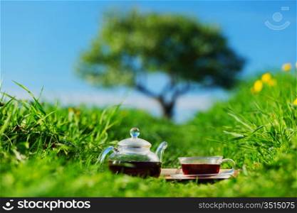 Natural tea on green grass