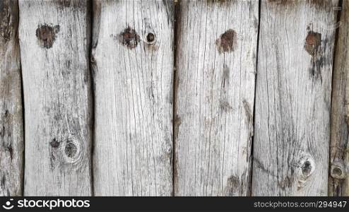 Natural tree wood trunk background