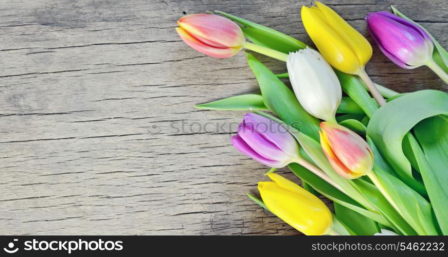 natural tulips on rustic wooden board, easter decoration