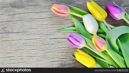 natural tulips on rustic wooden board, easter decoration