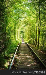 Natural tunnel of love formed by trees in Ukraine, Klevan.. Natural tunnel of love formed by trees in Ukraine