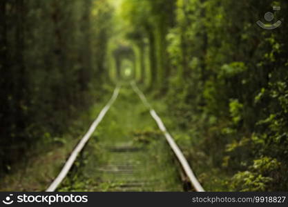 Natural tunnel of love formed by trees in Ukraine, Klevan. old railway in the beautiful tunnel in summer day. photo out of focus on the background. Natural tunnel of love formed by trees in Ukraine, Klevan. old railway in the beautiful tunnel in summer day. photo out of focus on the background.