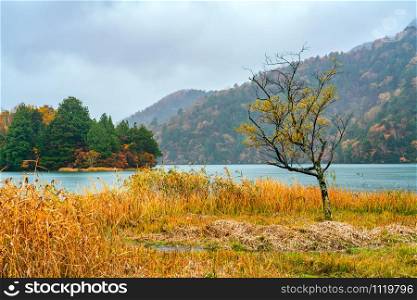 Natural view of Lake Chuzenji in the rain with the colorful foliage of autumn season on the mountain at Nikko City in Tochigi Prefecture, Japan.