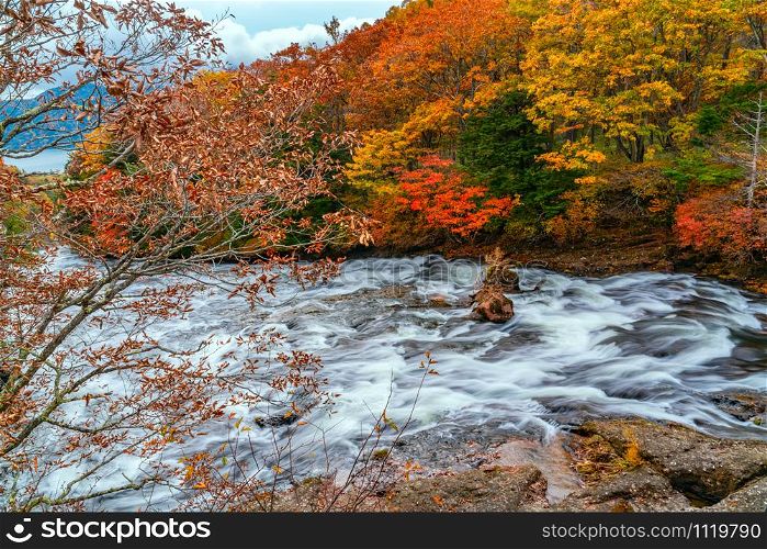 Natural view of Yukawa River flow over rocks in the forest of colorful foliage of autumn season to the Lake Chuzenji at Nikko City in Tochigi Prefecture, Japan.