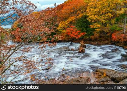 Natural view of Yukawa River flow over rocks in the forest of colorful foliage of autumn season to the Lake Chuzenji at Nikko City in Tochigi Prefecture, Japan.