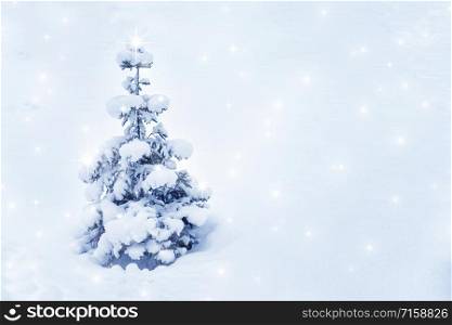 Natural winter Christmas background with small spruce covered with snow. Winter landscape with falling christmas shining beautiful snow