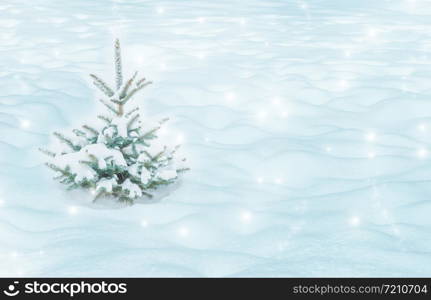 Natural winter Christmas background with small spruce covered with snow. Winter landscape with falling christmas shining beautiful snow