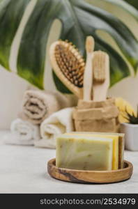 natural wooden brushes soaps monstera leaf