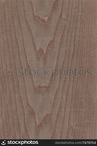 Natural wooden texture background. Ash tree.