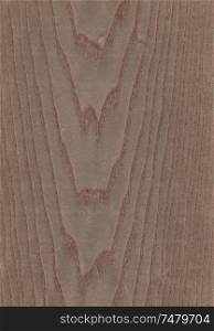 Natural wooden texture background. Ash tree.
