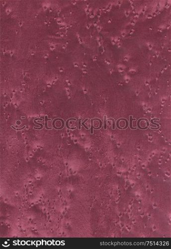 Natural wooden texture background. Maple bird&rsquo;s eye wood.