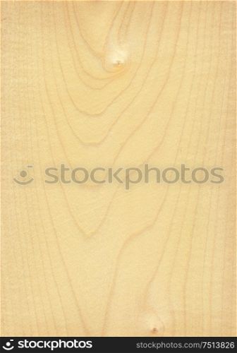 Natural wooden texture background. Maple wood.