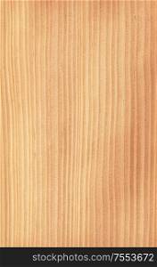 Natural wooden texture background. Pine tree.
