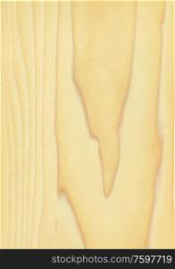 Natural wooden texture background. poplar wood