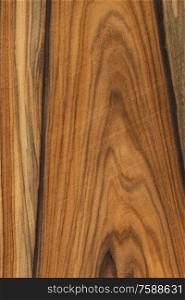 Natural wooden texture background. rosewood wood