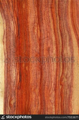 Natural wooden texture background. Tacula wood