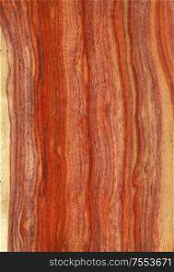 Natural wooden texture background. Tacula wood