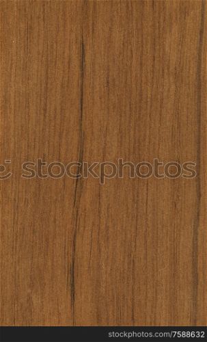 Natural wooden texture background. teak wood