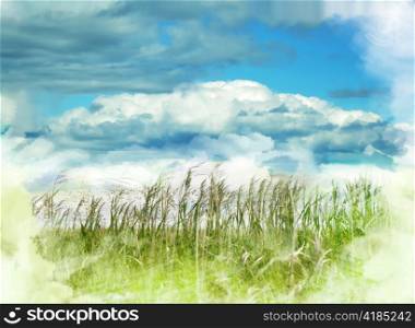 nature abstract background with grass and sky