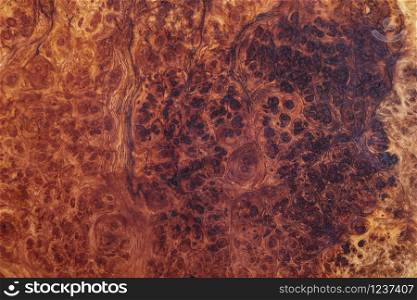 Nature Afzelia burl wood striped for Picture prints interior, Exotic wooden beautiful pattern for crafts or abstract art texture background