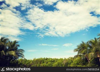nature and background concept - green forest and cloudy blue sky