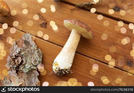 nature and environment concept - boletus edulis mushroom and pine tree bark on wooden background. boletus edulis mushroom and pine bark on wood