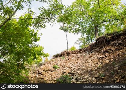 nature and environment concept - close up of rocky cliff and trees. close up of cliff and trees