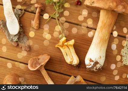 nature and environment concept - different edible mushrooms on wooden background. different edible mushrooms on wooden background
