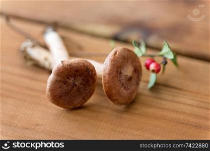 nature and environment concept - lactarius rufus mushrooms and cowberry on wooden background. lactarius rufus mushrooms and cowberry on wood