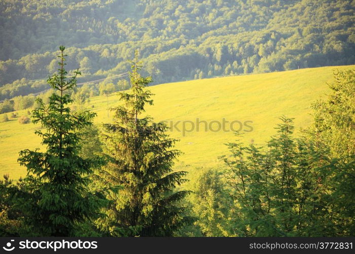 Nature and environment. Green forests and hills. Mountain landscape in the summer. Travel and tourism.