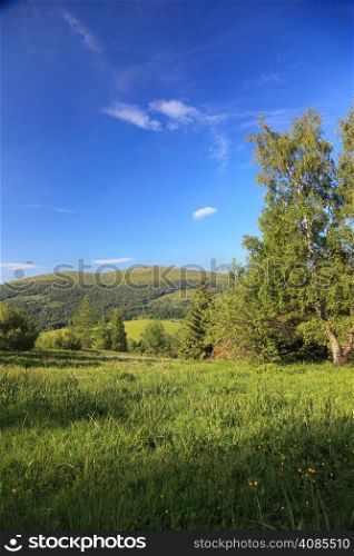Nature and environment. Green forests and hills. Mountain landscape in the summer. Travel and tourism.